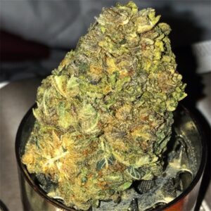 Buy Purple Urkle weed Online