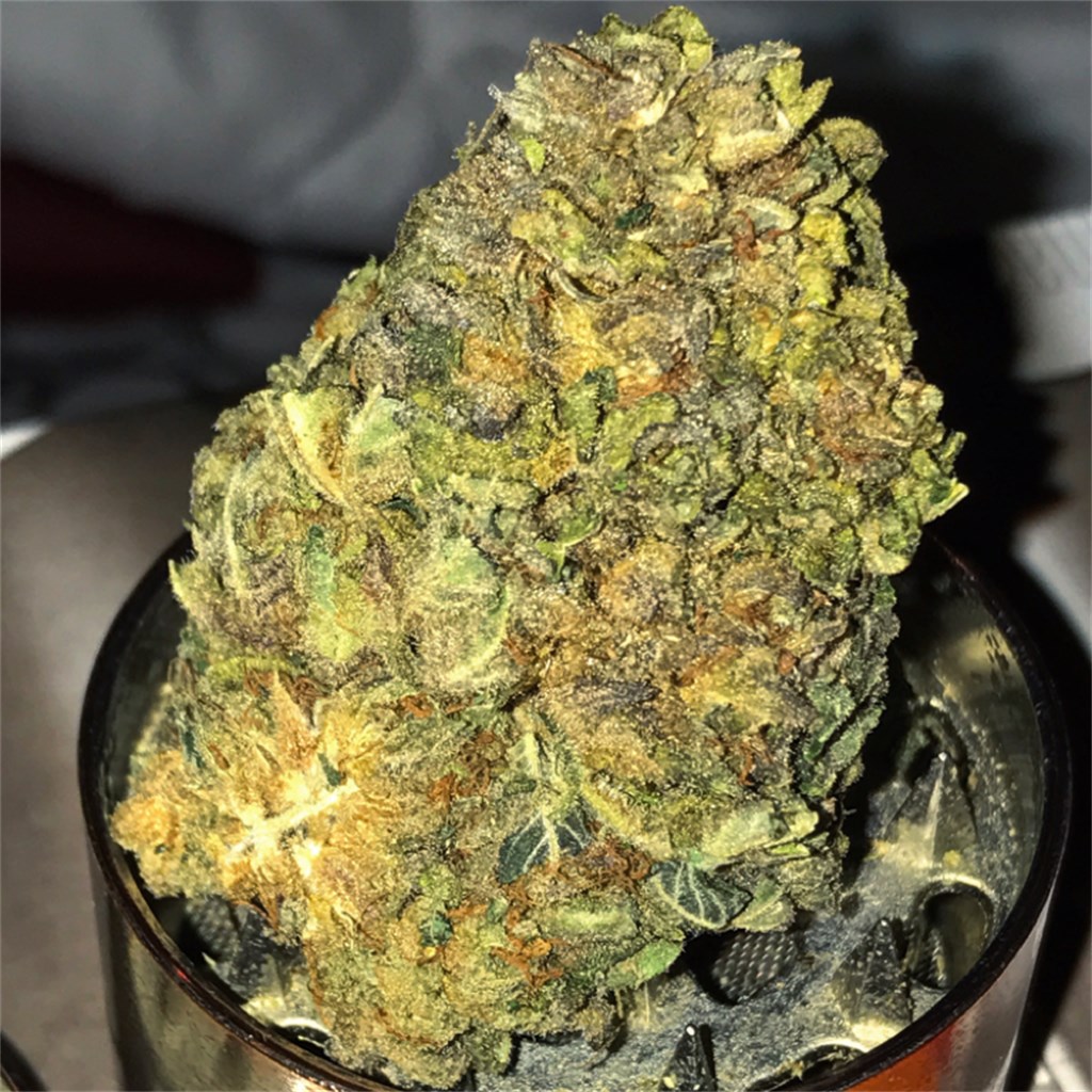 Buy Purple Urkle weed Online