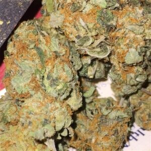 Buy Red Dragon Weed Online