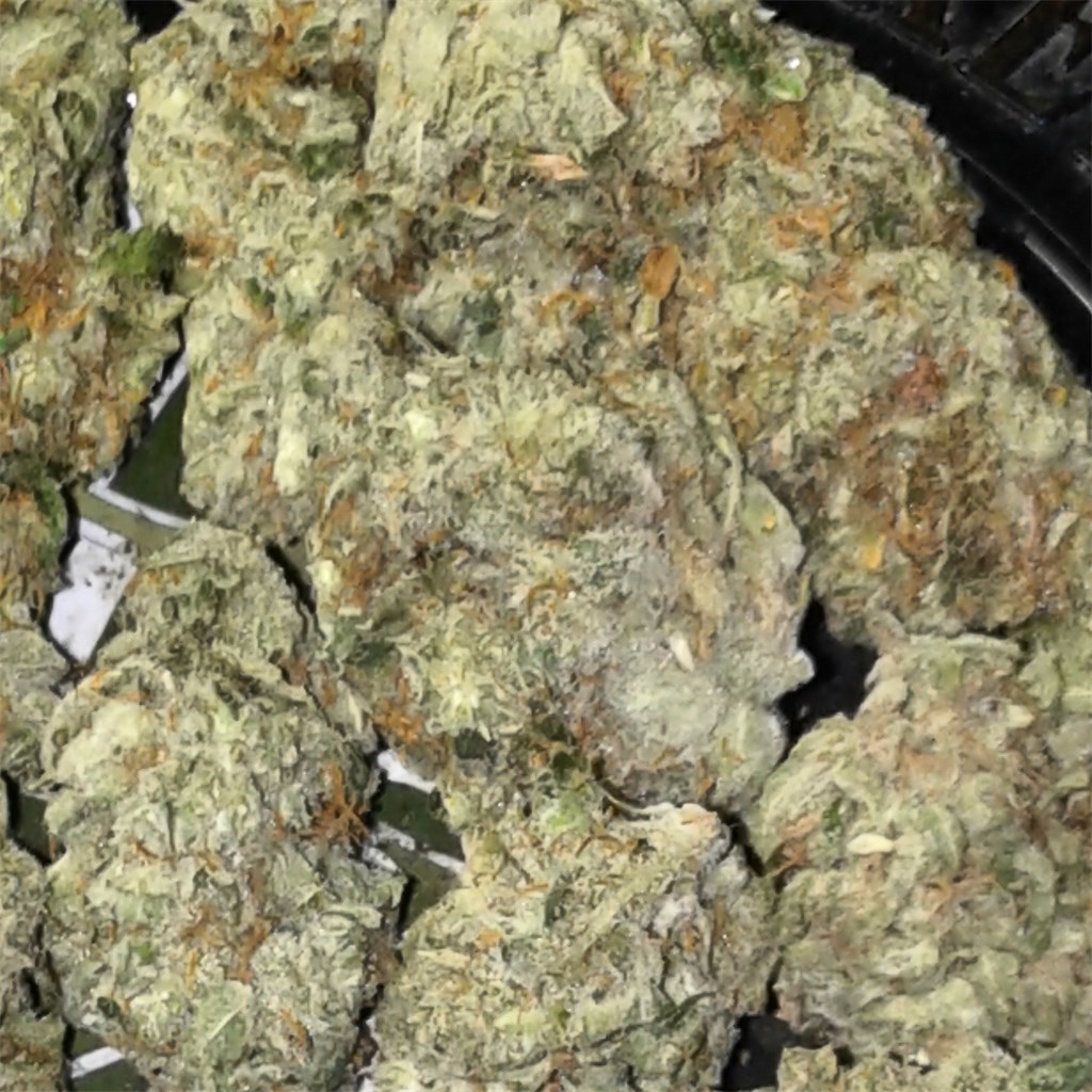 Buy Romulan Weed Strain Online