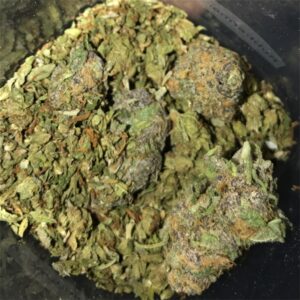 Buy SFV OG Kush Online