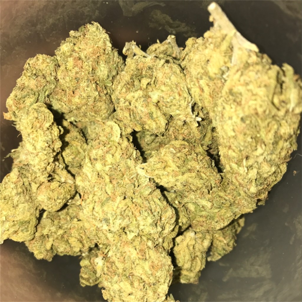 Buy Sensi Star Strain Online
