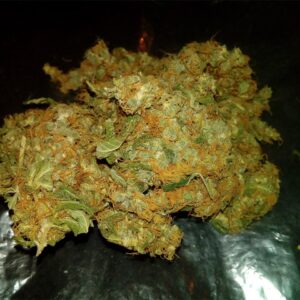 Buy Shark Shock Cannabis Online