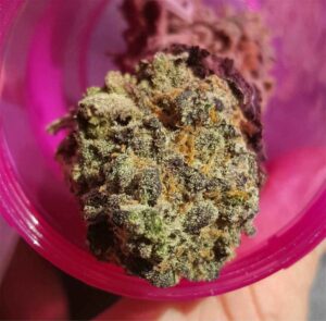 Buy Shipwreck Weed Strain online