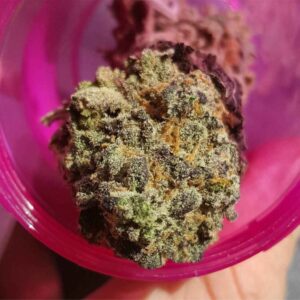 Buy Shipwreck Weed Strain online