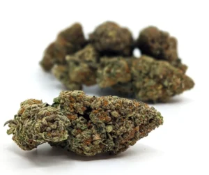 Buy Silver Kush online