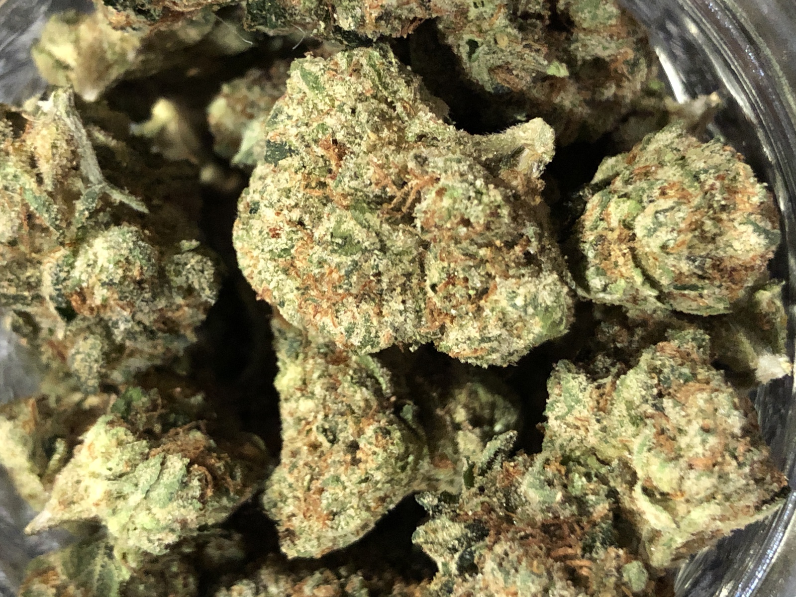 Buy Skywalker Kush Online