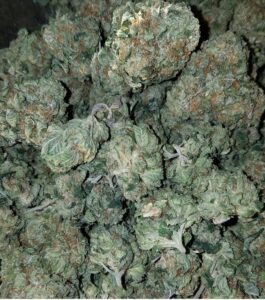 Buy Skywalker OG Kush Online