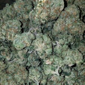 Buy Skywalker OG Kush Online