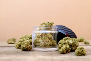 Buy Snoop Dogg OG Online