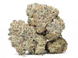 Buy Snoop's Dream Kush Online