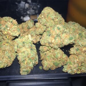 Buy Sojay Haze Weed Strain