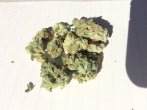 Buy Sour Amnesia Haze online