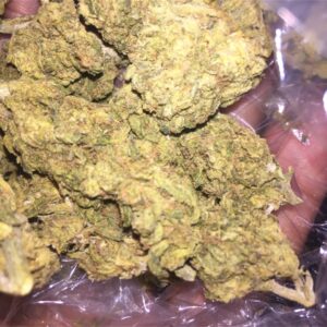 Buy Sour Jack Weed Online