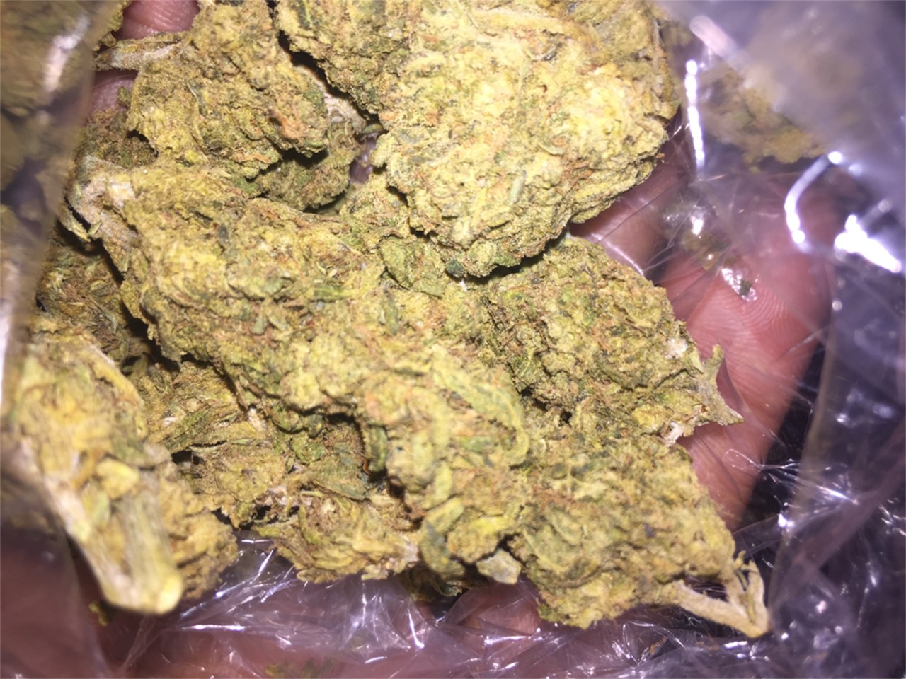 Buy Sour Jack Weed Online