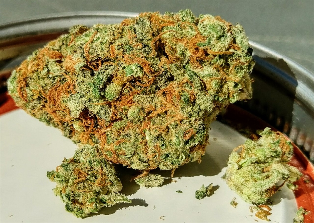 Buy Sour Tangie Cannabis Online