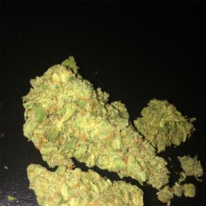 Buy Super Jack Weed Strain