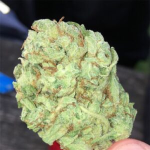 Buy Super Lemon Haze Cannabis