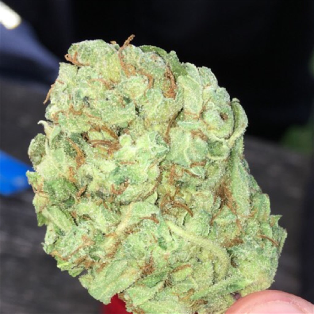 Buy Super Lemon Haze Cannabis