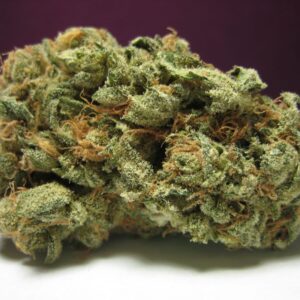 Buy Super Skunk Strain Online