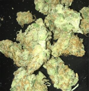 Buy Sweet Tooth Weed Strain