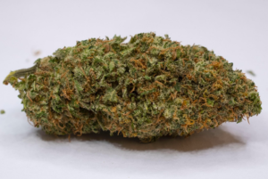 Buy Tangilope Cannabis Strain