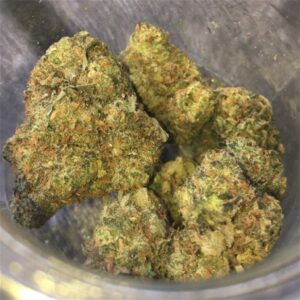 Buy Thin Mint Weed Strain