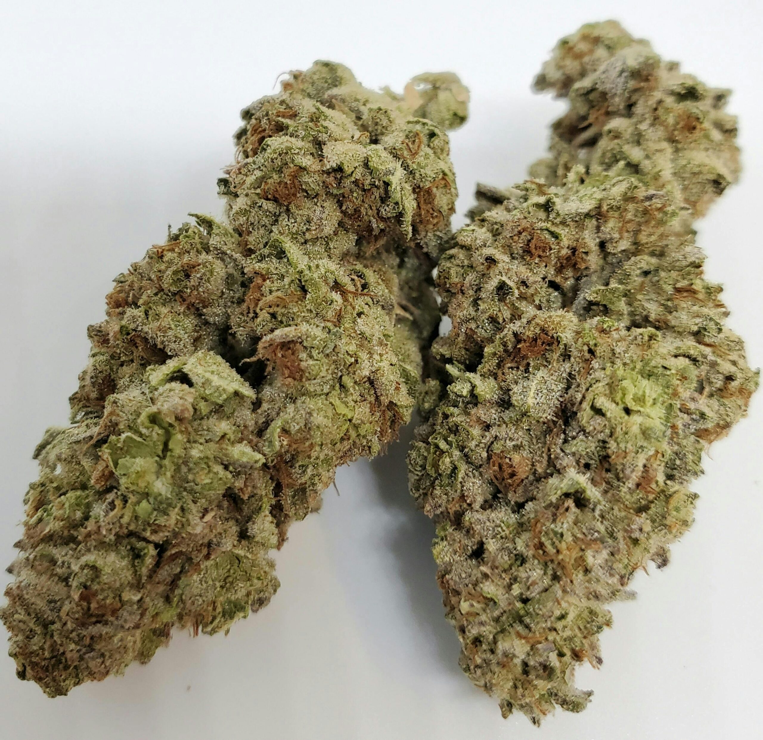 Buy Tiger's Milk Weed Strain Online