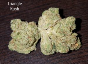 Buy Triangle Kush Online
