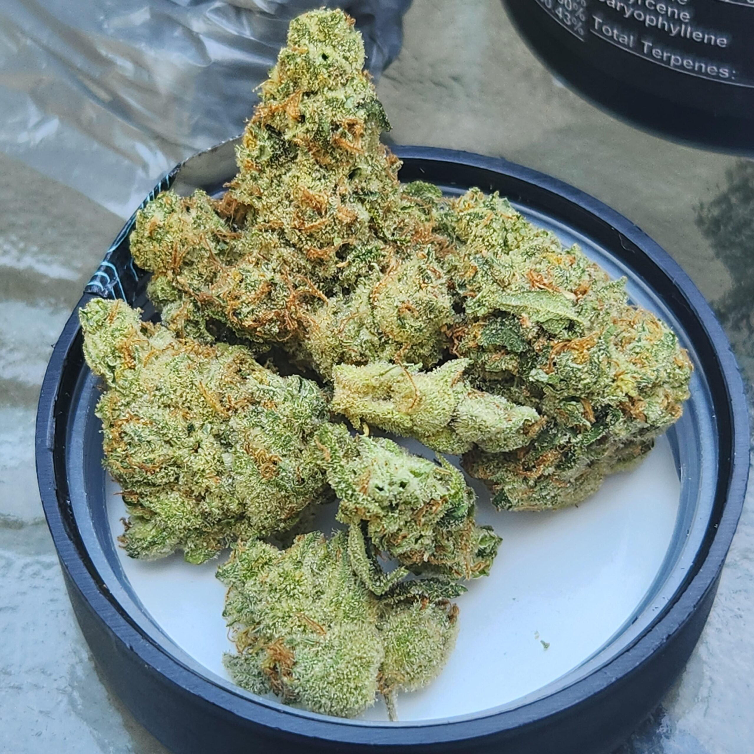 Buy Tropicana Cookies Weed Online