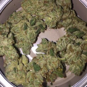 Buy Venom OG Kush Online
