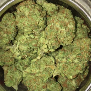 Buy Vortex Cannabis Strain Online