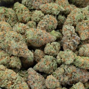 Buy Watermelon OG Kush Online