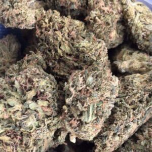 Buy Wet Dream Weed Strain