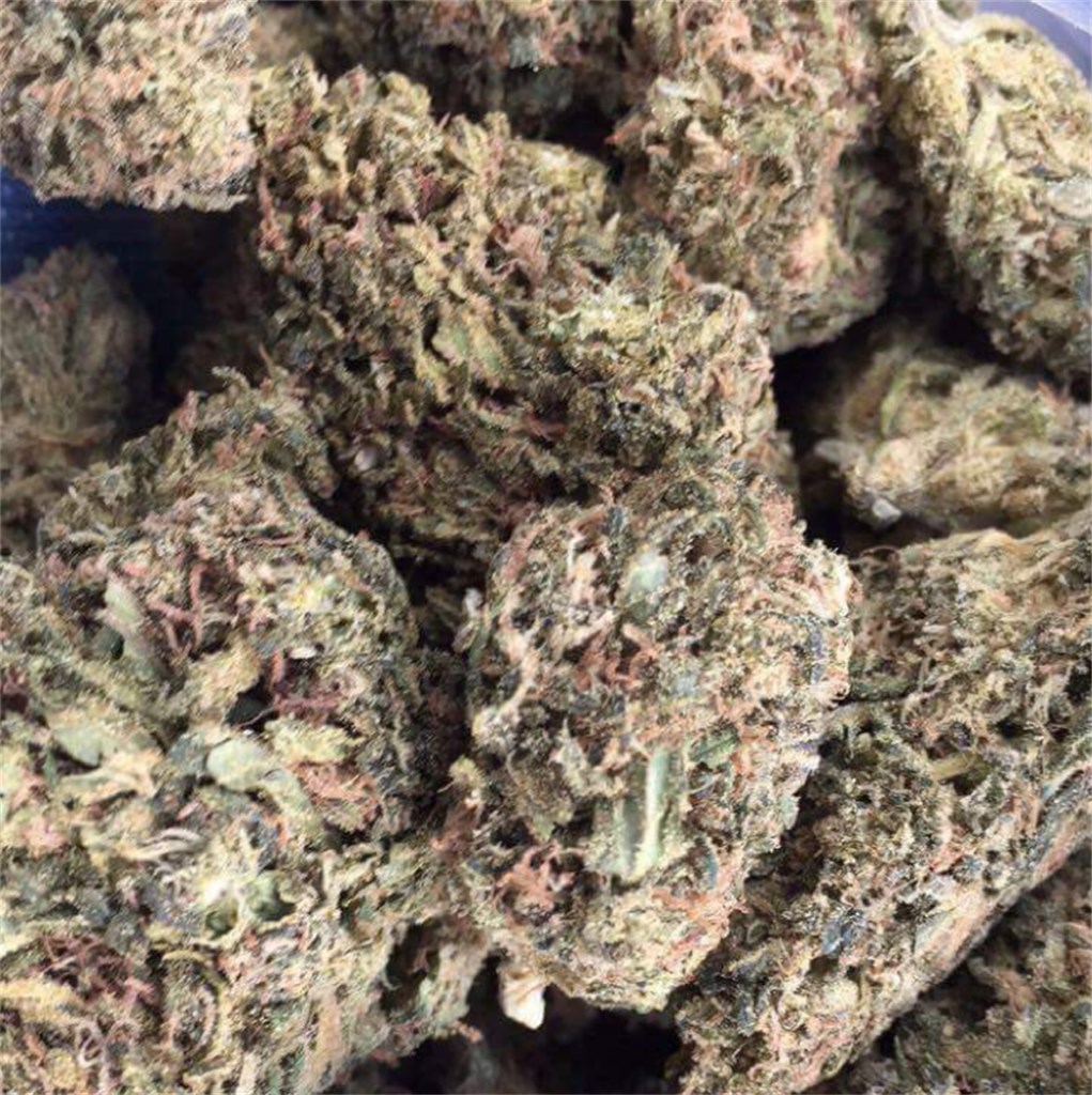 Buy Wet Dream Weed Strain