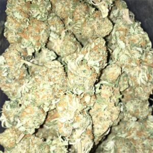 Buy White Rhino Cannabis Online