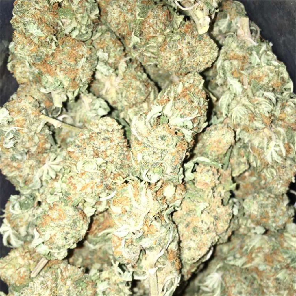 Buy White Rhino Cannabis Online