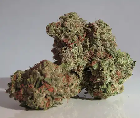 Buy White Runtz Weed Strain