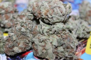 Buy White Russian Weed Online