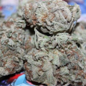 Buy White Russian Weed Online