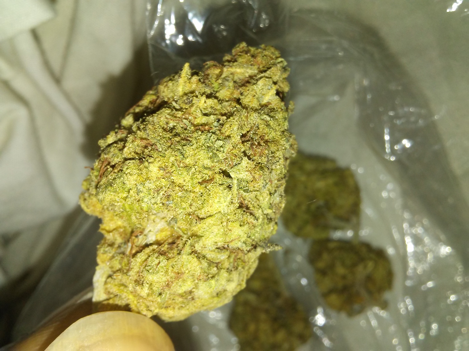 Buy White Tahoe Cookies Online