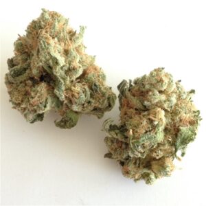 Buy White Widow Weed Strain