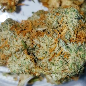 Buy Willie Nelson Weed Strain