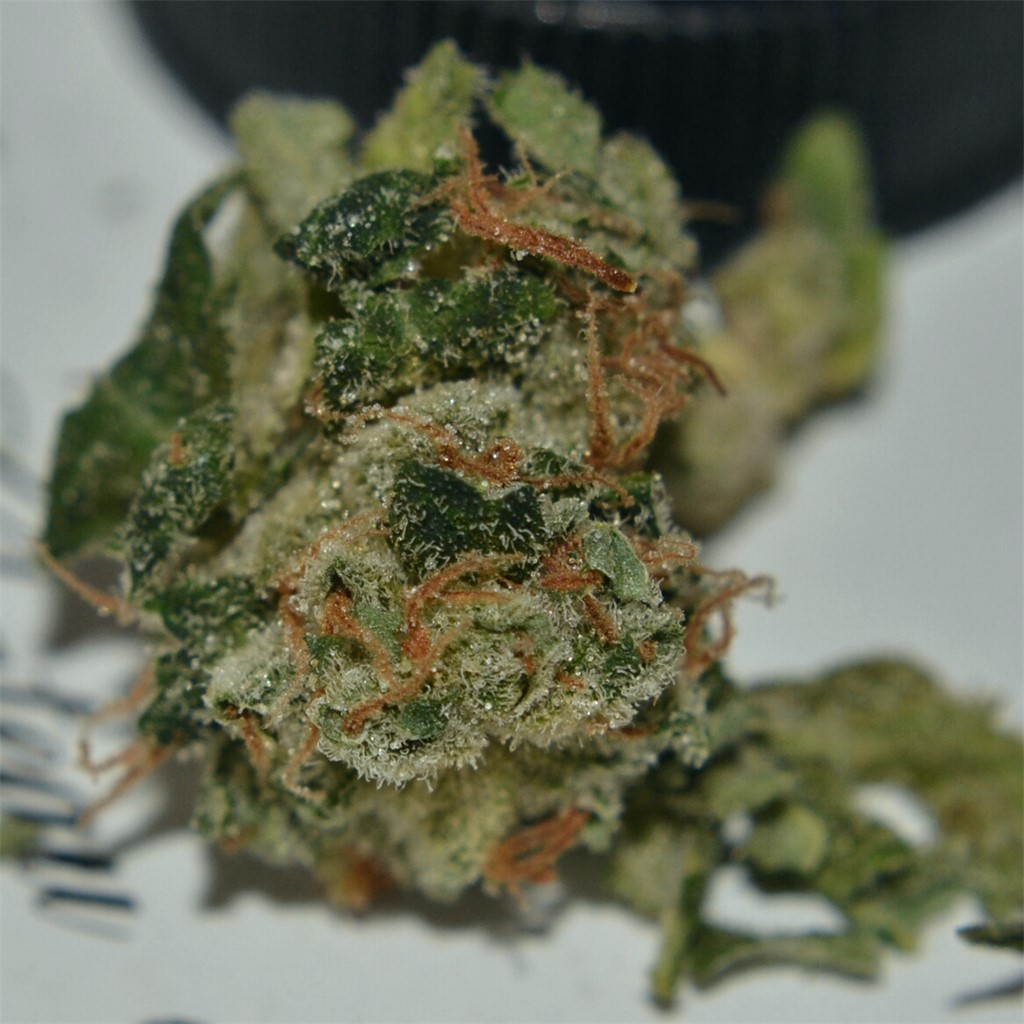 Buy Willy's Wonder Weed Online