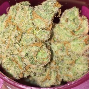 Buy XJ-13 Weed Strain Online