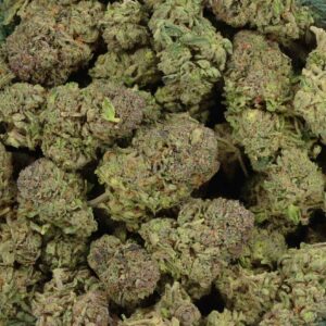 Buy Yoda OG Weed Strain Online
