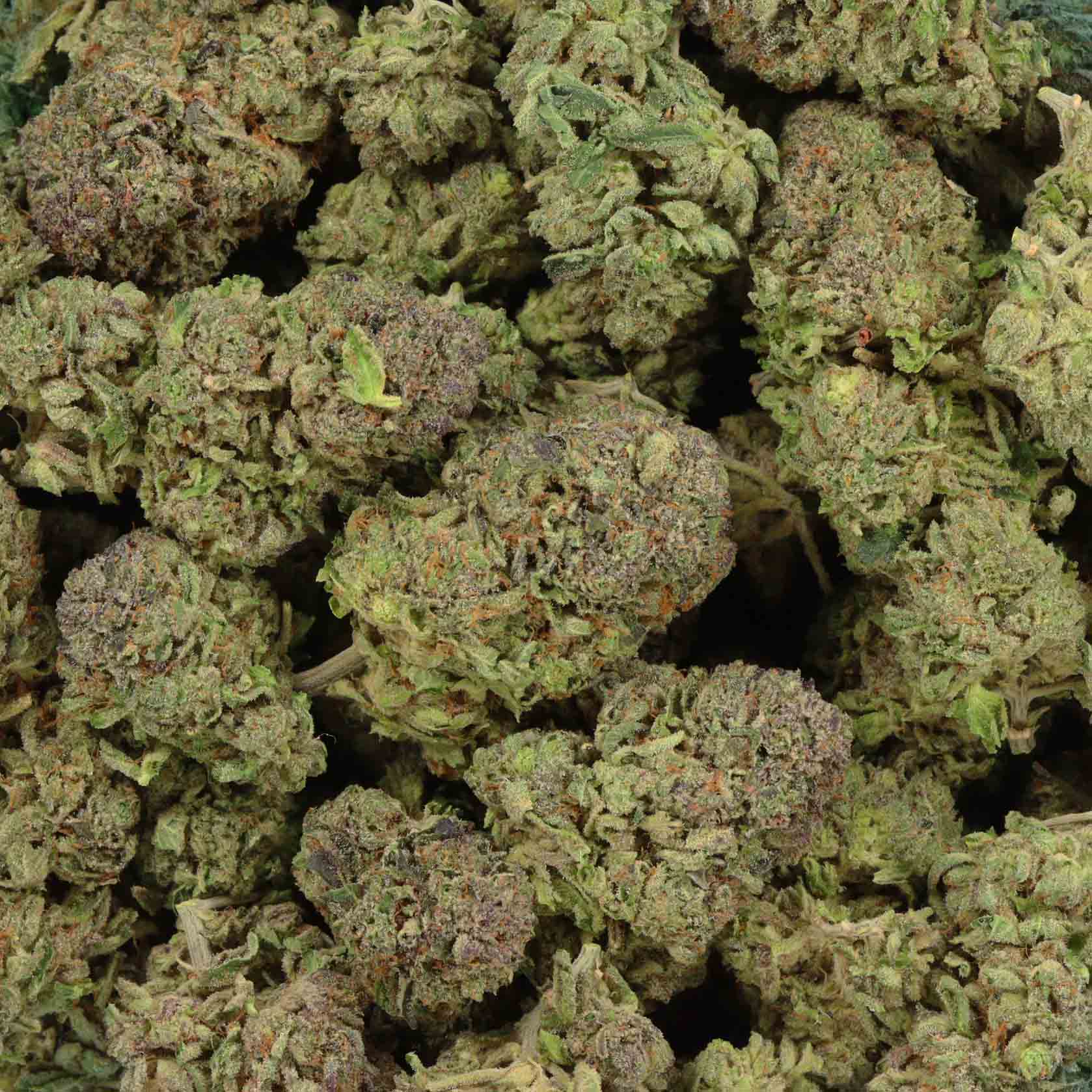 Buy Yoda OG Weed Strain Online