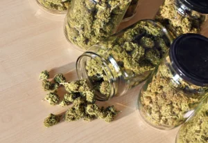 Buy Canna-Tsu Weed Strain