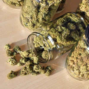 Buy Canna-Tsu Weed Strain