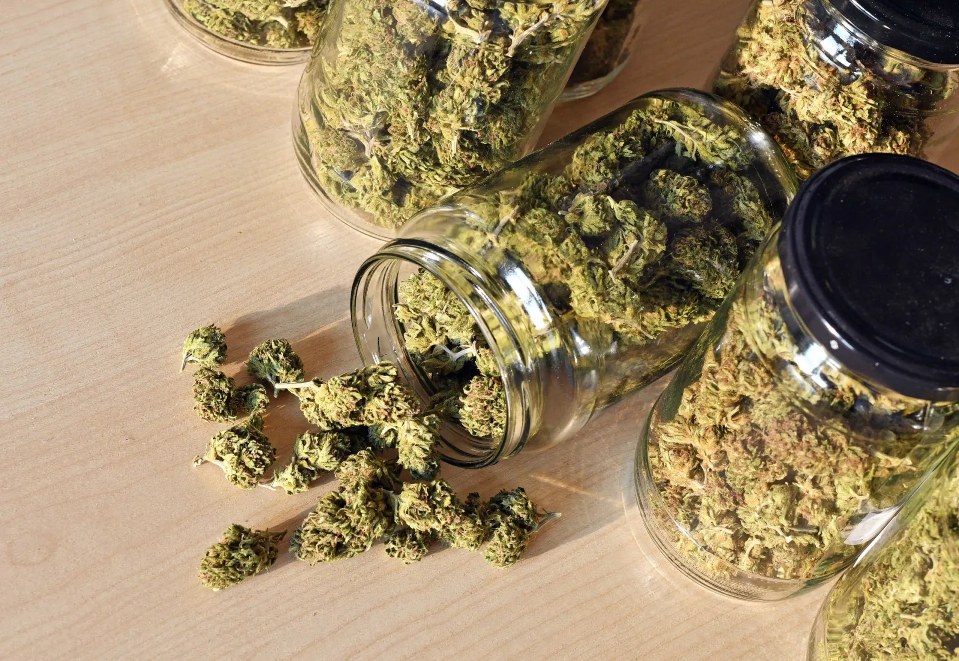 Buy Canna-Tsu Weed Strain